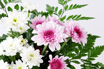 White and pink daisy bouquet on white background