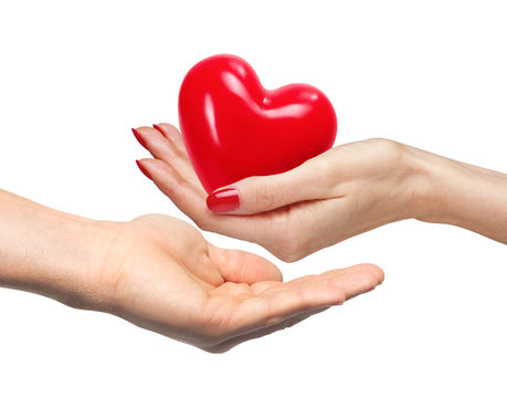 Red heart in woman hand and man hand, isolated on white