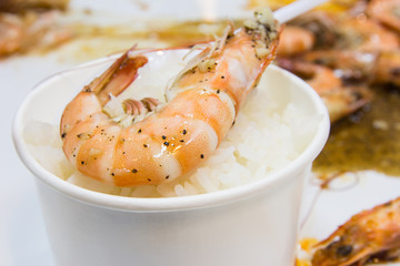 fresh delicious shrimp with rice