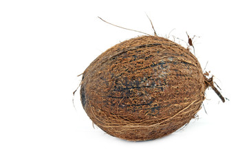 rotten coconut