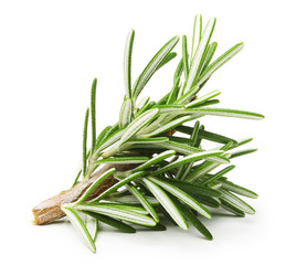 Rosemary twig