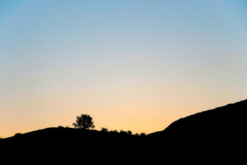 Fototapeta na wymiar Silhouettes in the desert in the early morning