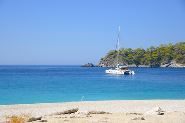 The white catamaran anchored near beach

