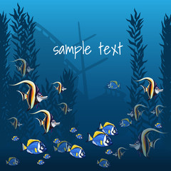 The marine life in bright colors and sample text