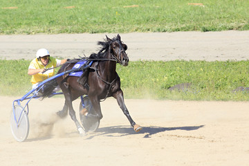 Trotting Races at the Hippodrome Sibirskoe podvorie
