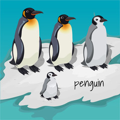 Three big penguins and one little penguin