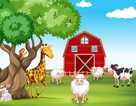 Farm animals and wild animals