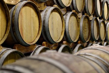 Wooden wine barrels in cellar