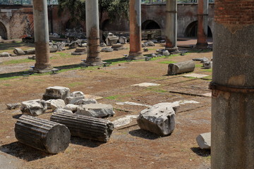 Fragments of broken ancient columns