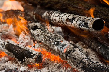 Burning wood in the fireplace, preparation of charcoal