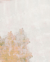 Fototapeta premium Grunge background