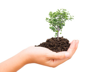 Human plant of tree saving the world.