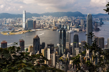 Fototapeta premium Widok na port Victoria w Hongkongu