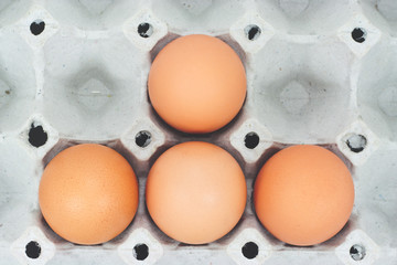 Still Life- beautiful brown eggshell egg release. Closeup.