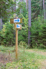 Forest trail signpost with pointing arrows