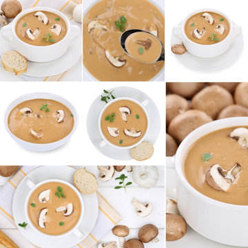 Collage Pilzsuppe Pilz Champignons Suppe Suppen in Suppentasse i