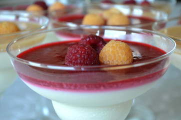 Appetizing and colorful panna cotta in glasses