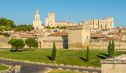 Palace of the Popes in Avignon