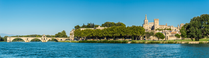 Fototapeta na wymiar Panoramic view at the Palace of the Popes in Avignon