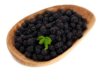 blackberrries in a bowl isolated on white