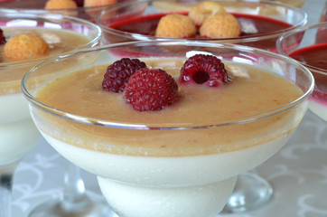 Appetizing and colorful panna cotta in glasses
