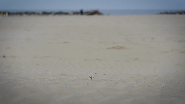 spiaggia deserta
