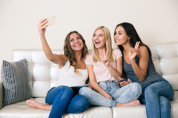 Girlfriends making selfie photo on smartphone