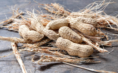 peanuts or groundnuts in shells or peeled