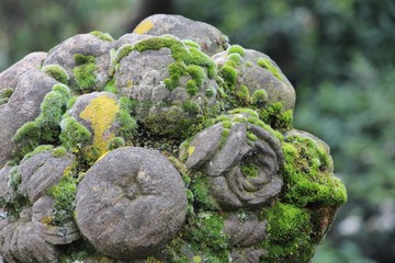 Stone flowers 