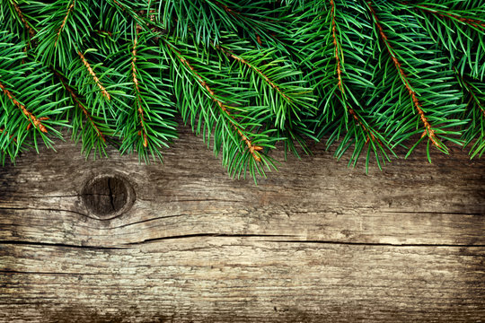 Christmas background of fir tree on old vintage wooden board, copy space for text, top view
