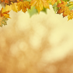 Naklejka na ściany i meble Abstract autumnal backgrounds for your design