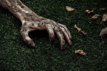 Horror and Halloween theme: Terrible zombie hands dirty with black nails lie on the green grass, the walking dead apocalypse, top view