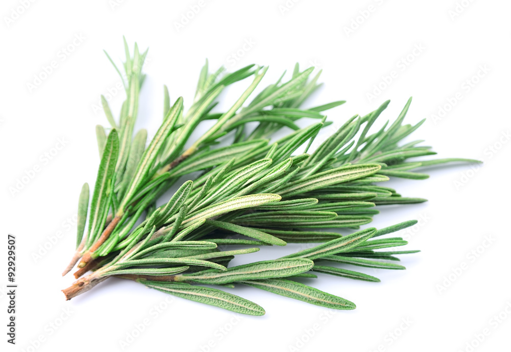 Wall mural twig of rosemary