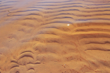 Sea sand texture wave pattern
