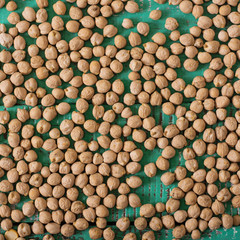 Chickpeas on a green background