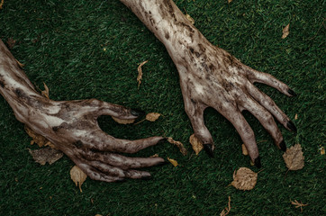 Horror and Halloween theme: Terrible zombie hands dirty with black nails lie on the green grass, the walking dead apocalypse, top view