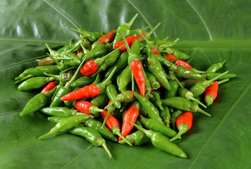 Red pepper