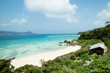 Tropical paradise island beach lagoon and white sand beach full of beautiful clear blue turquoise water in Amami Oshima, Kagoshima, Okinawa, Tropical Japan during Summer vacation