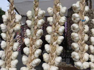 Strings of garlic 