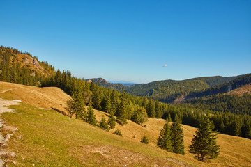 Fototapeta na wymiar Łąka w Tatrach