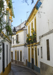 The Jewish Quarter of Cordoba