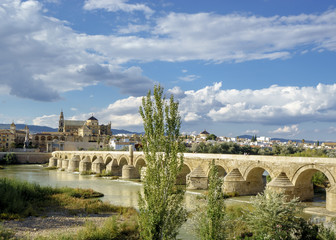 Mosque view from across the river