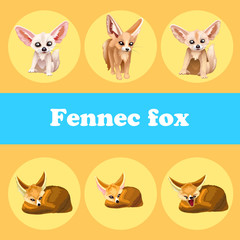 Cute set fennec fox on a yellow background