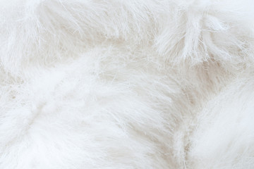 close up of white fur - textured background