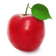 Fresh red ripe plum whith leaf isolated on white background. Design element for product label, catalog print, web use.