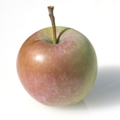 Pink Lady, Apfel, Malus, domestica,