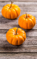 Mini orange pumpkin