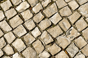 Walkway cobblestone. Cobbled road texture - vertical.