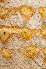 Brass rust on the concrete surface for background