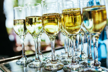 Elegant glasses with champagne standing in a row on serving tabl